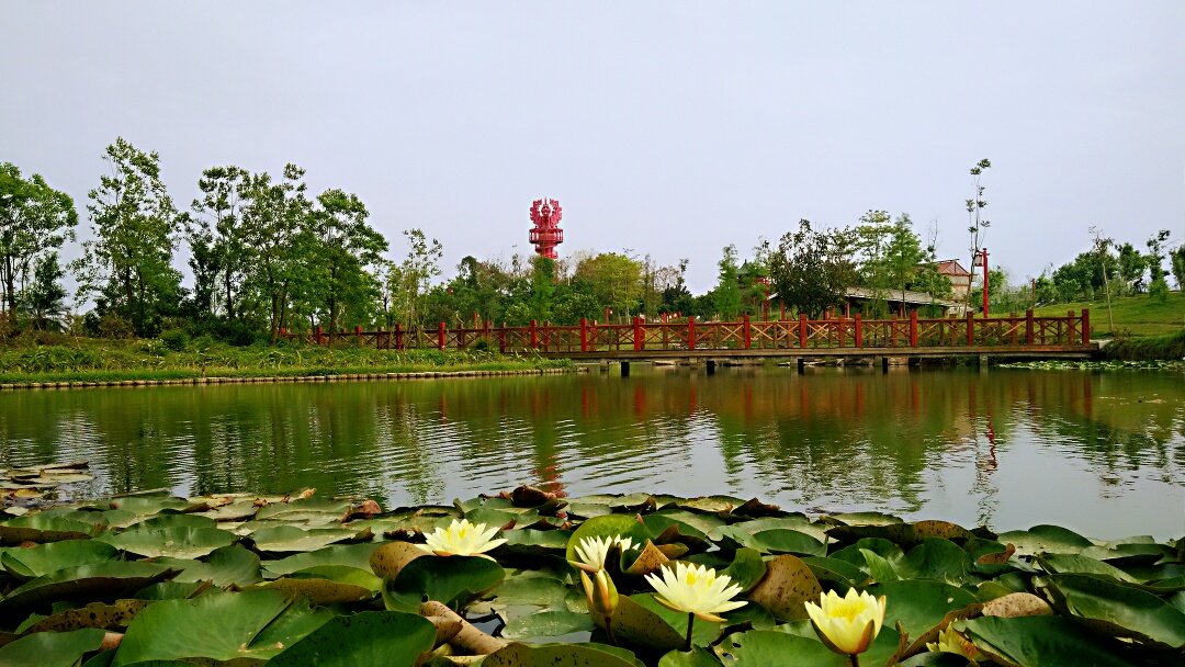 宾阳凤凰湖公园图片