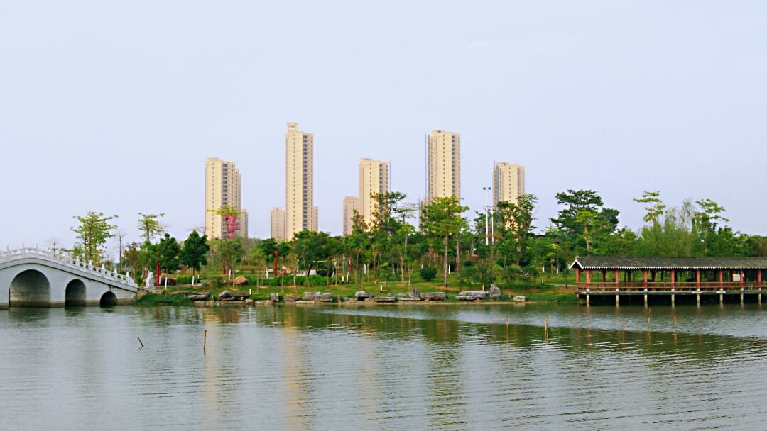 宾阳凤凰湖公园图片